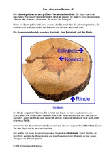 Das-Leben-eines-Baumes-1.pdf